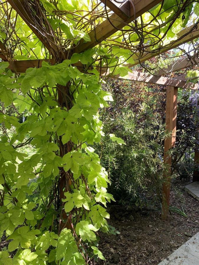 Woodpaddock Bed & Breakfast Марч Екстериор снимка